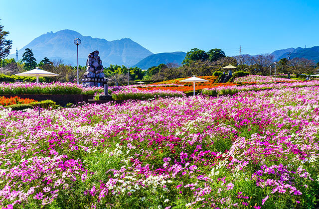 有明の森フラワー公園