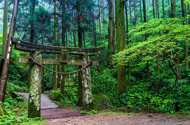 岩戸神社